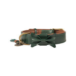 Dog With A Mission DWAM Halsband Bowie - Groen