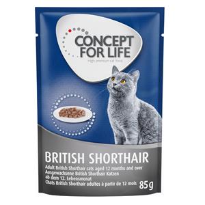 48x85g British Shorthair Adult (Ragout Kwaliteit) Concept for Life Kattenvoer