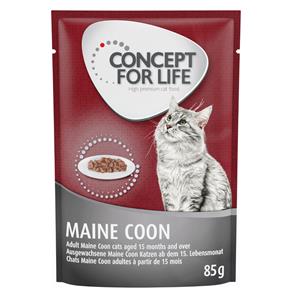 Concept for Life Maine Coon Adult Kattenvoer - Verbeterde receptuur! - Ter aanvulling: 12 x 85 g Concept for Life Maine Coon Adult