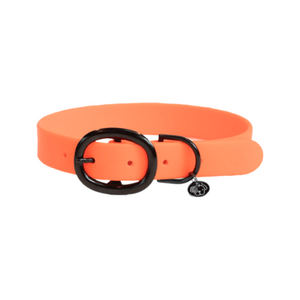 KENTUCKY DOGWEAR Halsband Soft Rubber - L - Neon Oranje