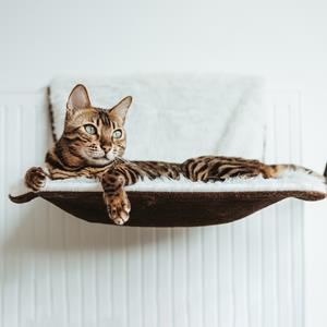 Canadian Cat Company Liegemulde für Heizkörper braun
