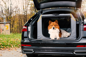 Knuffelwuff faltbare Hundebox Auto Transportbox mit Aluminiumgestell für den Kofferraum XL