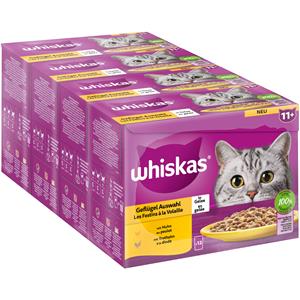 Gemengd pakket Whiskas Senior Maaltijdzakjes 12 x 85 g Kattenvoer - 11+ Gevogelte-selectie in gelei