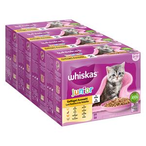 voordeelverpakking Whiskas Junior Maaltijdzakjes 48 x 85 g - Gevogelte-selectie in gelei