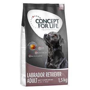 Concept for Life Labrador Retriever Adult Hondenvoer - 6 kg (4 x 1,5 kg)