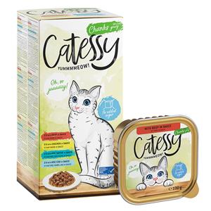 Mixpak Catessy Kuipjes 46 x 100 g Kattenvoer - Hapjes in Saus Mix