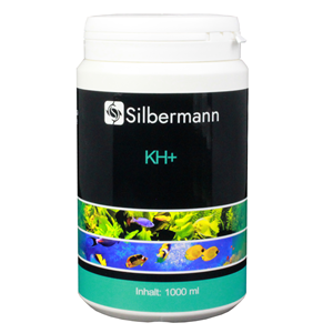 Silbermann KH+ 1000 ml