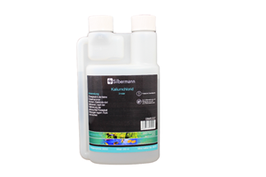 Silbermann Kaliumchlorid-Lösung 250 ml