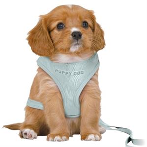 Trixie Junior Puppy Soft Harness with Lead M-L: 36-50cm/10mm 2m. mint