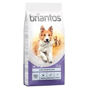 2 x 14 kg Briantos Adult Active hondenvoer