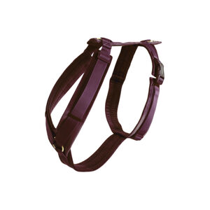 Kentucky Dog Harness Active Velvet - Bordeaux - S 26-40cm