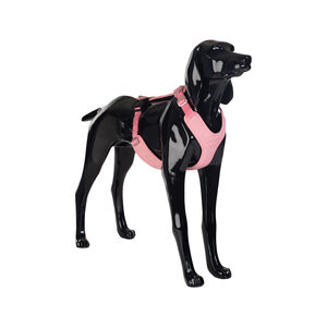 Paikka Visibility Harness - Pink - S