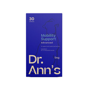 Dr. Ann's Mobility Support Advanced - 30 Kapseln