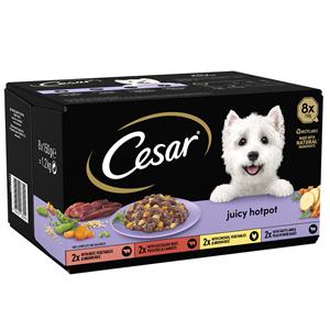 Cesar Juicy Hotpot Mixpakket Hondenvoer - 48 x 150 g