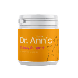 Dr. Ann's Kidney Support - 60 g