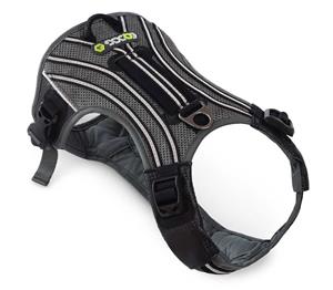 eqdog Hondentuig Pro Harness Zwart