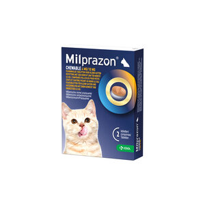 Milprazon Chewable Entwurmungstabletten Kätzchen und kleine Katze (4 mg/ 10 mg) 2 Tabletten