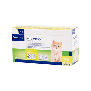 Milpro Kitten / Kleine Kat