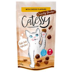 Catessy Knapperige Snacks 65 g - met Kaassmaak