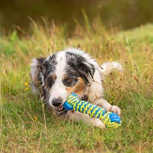 Honden waterspeeltje Knot Bone, blauw-geel