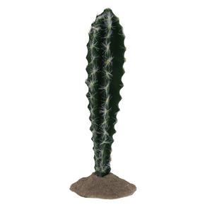 Terra Della Cactus cilinder 1 groen