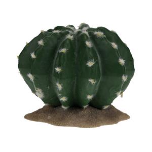 Terra Della Echinocactus 2 groen