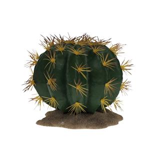 Terra Della Echinocactus 1 groen