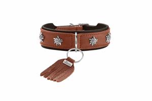 hunter Hondenhalsband München Cognac