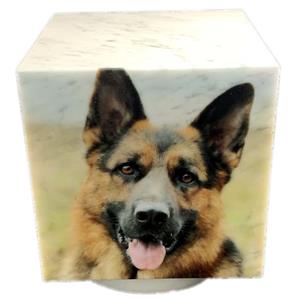 Urnwebshop Cubos Hondenurn, Folieprint Fulcolour Eigen Hond (0.3 liter)