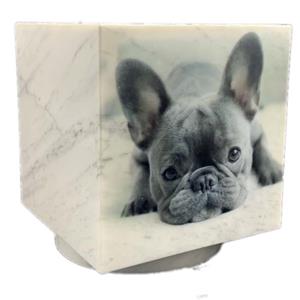 Urnwebshop Cubos Hondenurn, Folieprint Zwartwit Eigen Hond (0.3 liter)