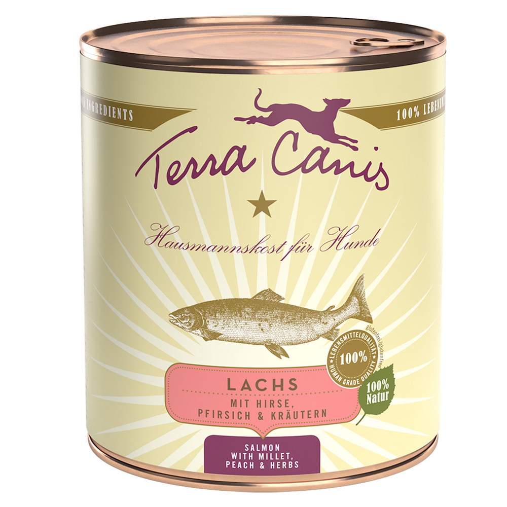 Terra Canis Classic | Lachs mit Hirse, Pfirsich und Kräutern 800g