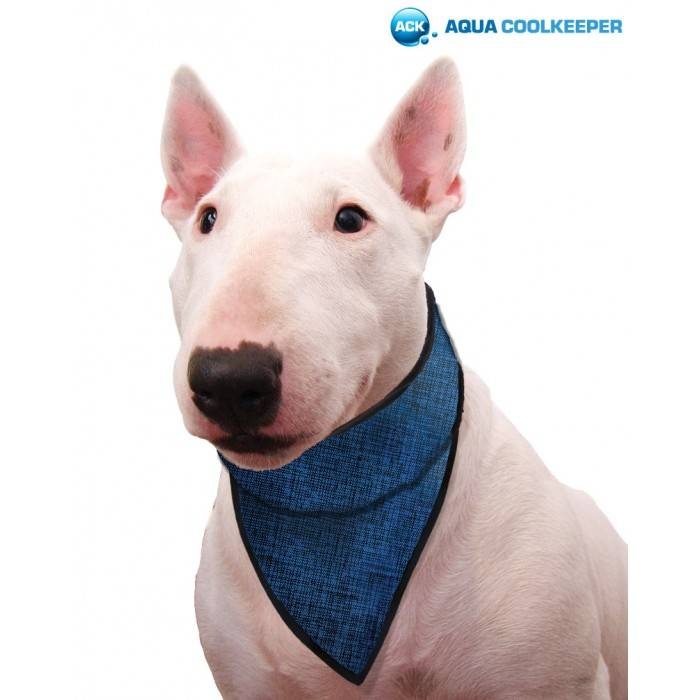 Aqua Coolkeeper Cooling Pet Bandana Medium Pacifc blue