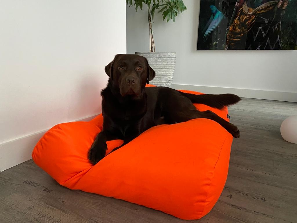 Hondenbed.nl Dog's Companion Hondenbed oranje coating