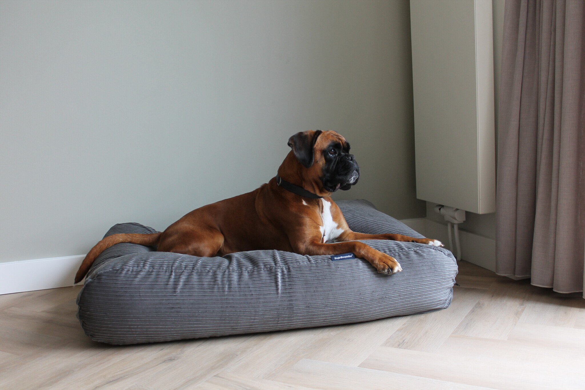Hondenbed.nl Dog's Companion Hondenbed muisgrijs double ribcord
