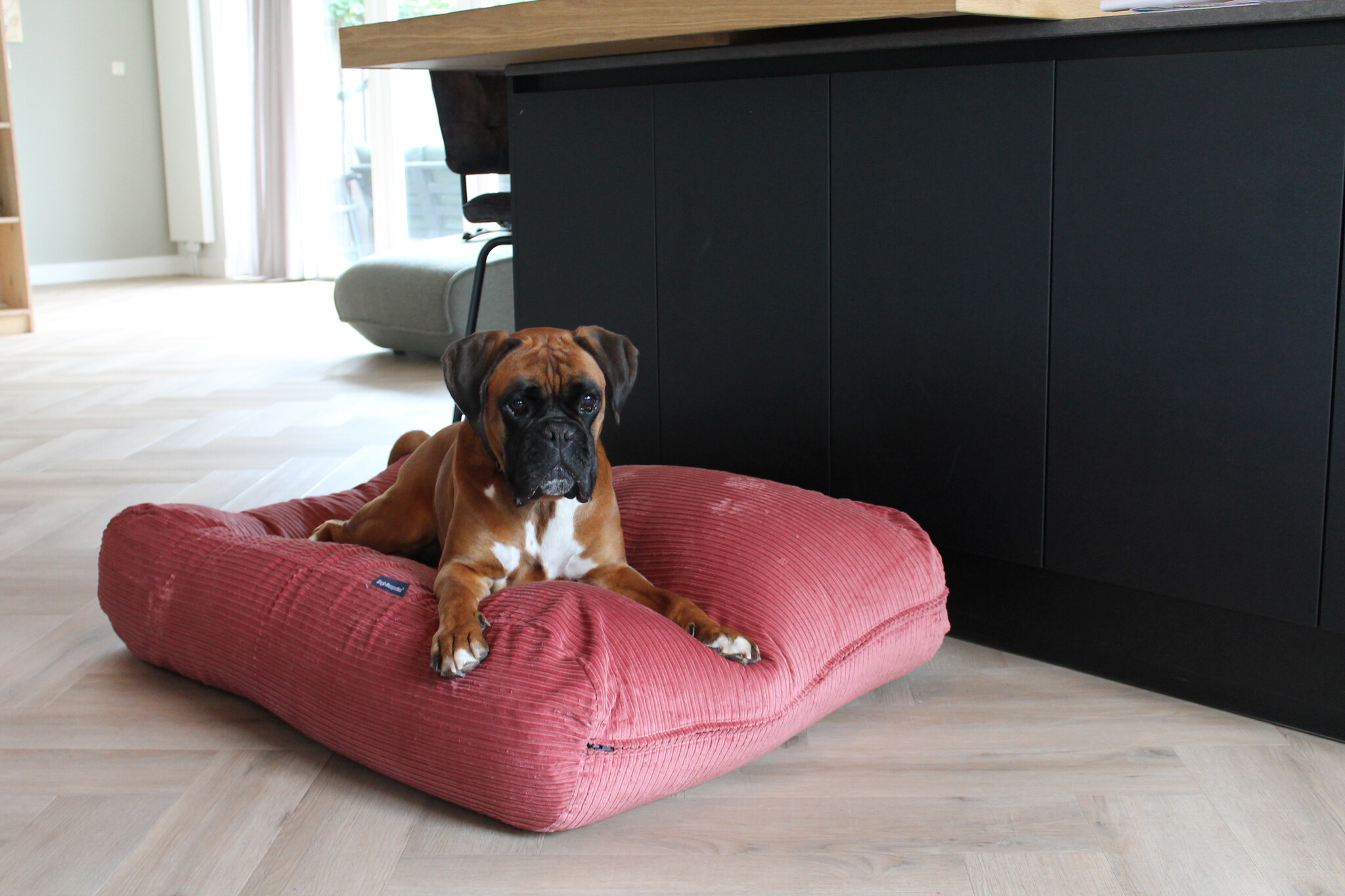 Hondenbed.nl Dog's Companion Hondenbed oud roze double ribcord