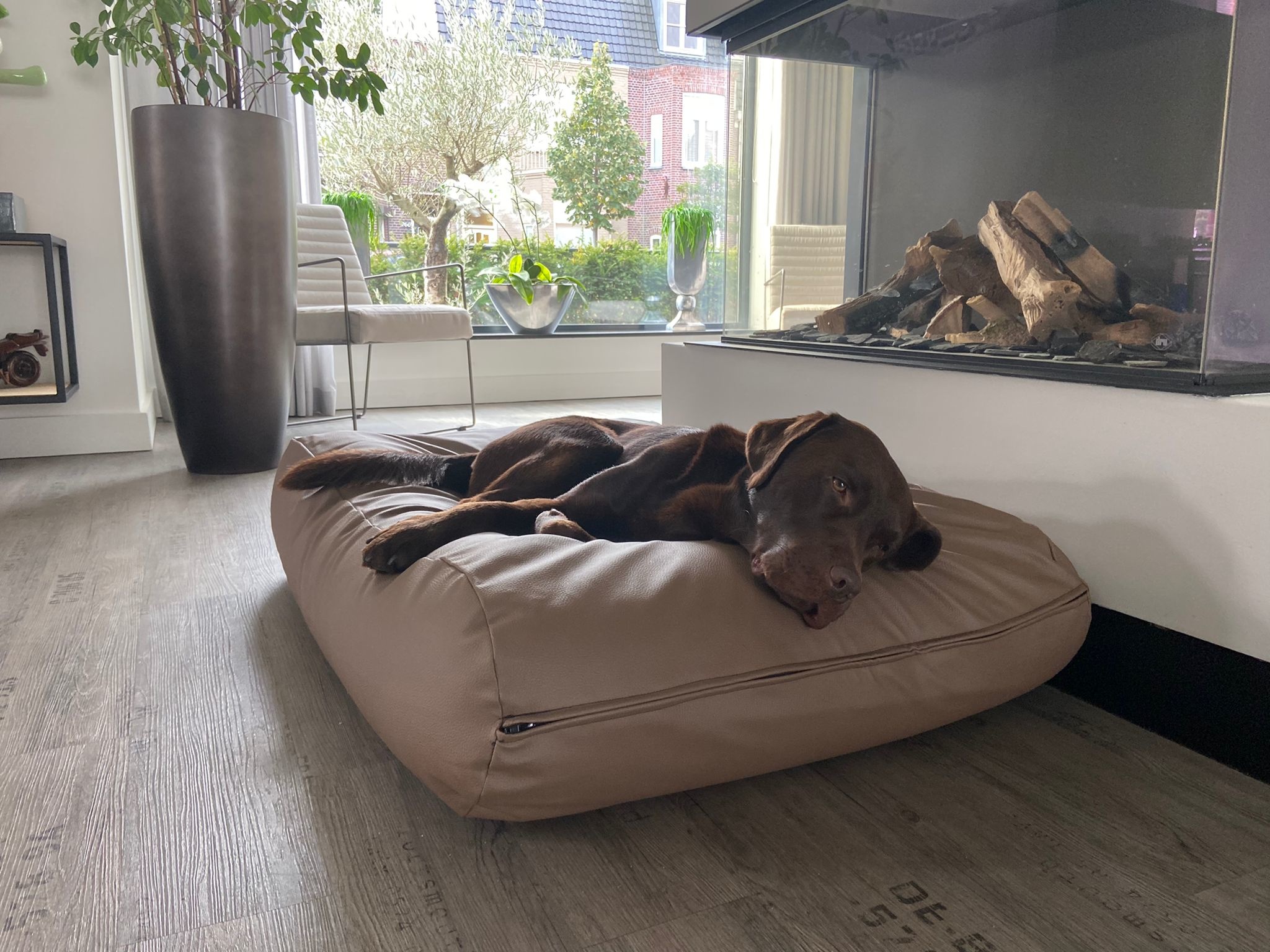 Hondenbed.nl Dog's Companion Hondenbed taupe leather look