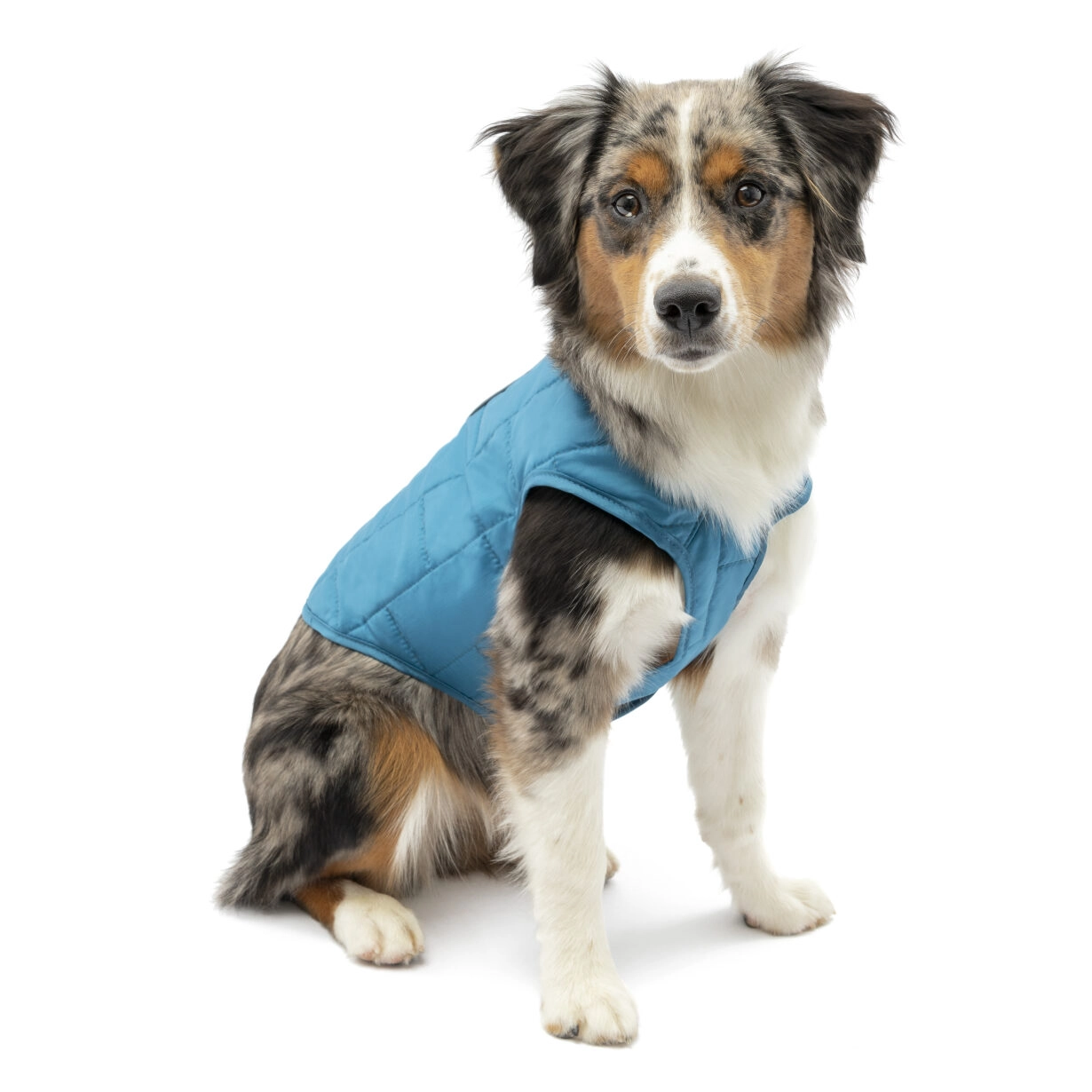 Kurgo Hondenjas Loft Jacket Lichtblauw