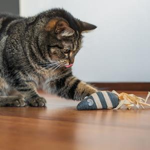 Duvo+ Rope grote muis met maiskoorden