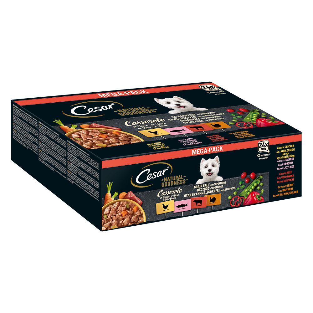 Cesar 48 x 100 g  Natural Goodness Graanvrij met Superfoods Casserole in saus (zalm, kip, rund, kalkoen) natvoer voor honden