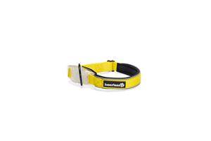 BEEZTEES Safety Gear Parinca- Hondenhalsband - LED - Nylon - Geel - 35-40x2 cm