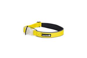 BEEZTEES Safety Gear Parina - Hondenhalsband - Nylon - Geel - 50-55x2,5 cm