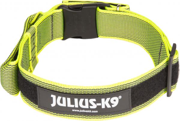 Julius-K9 Halsband Met Beveiligingssluiting 50Mm Neon grijs