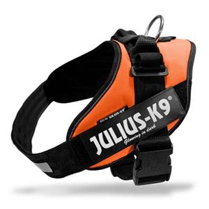 Julius-K9 IDC Powertuig Oranje Baby 1