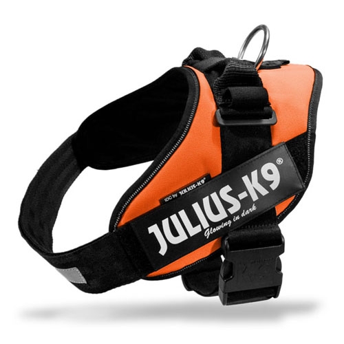 Julius-K9 IDC Powertuig Oranje Maat 3