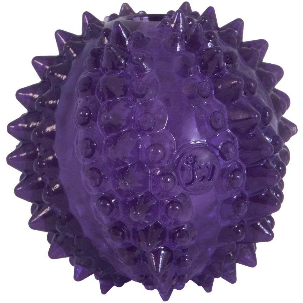 Petsexclusive JW Bristl-ee cactus ball