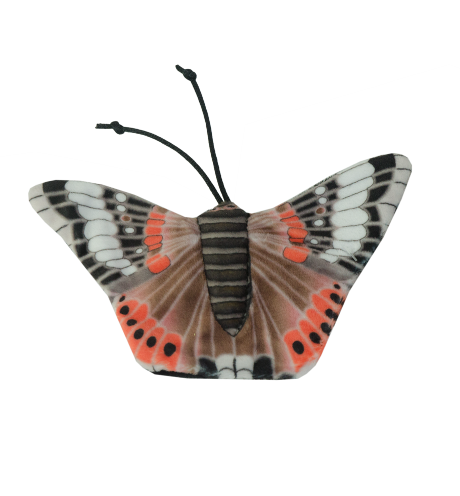 Wild Life Collection Wild Life Cat Red Admiral Butterfly (Admiraalvlinder)