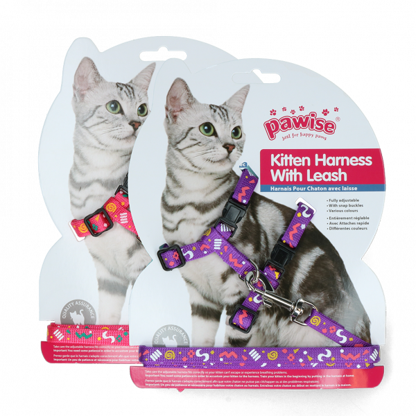 Pawise Kitten Harness Leash-PinkPurple