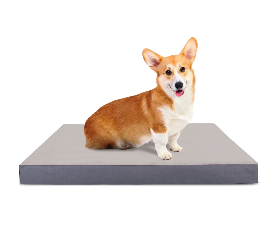 Nobleza Orthopedisch hondenkussen 50x75cm