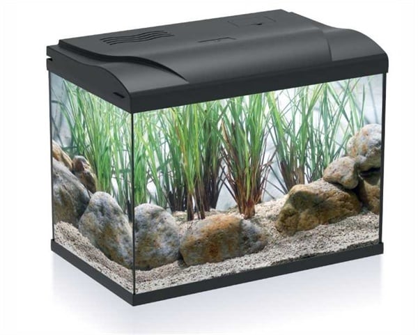 HS Aqua Aquarium Coldy 20 LED | 20L | 39 x 22  x 30CM Zwart Zwart