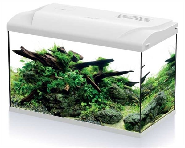 HS Aqua Aquarium Platy 70 LED | 70L | 59 x 31 x 39 CM Wit Wit